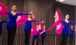 中国舞蹈视频,中国舞蹈视频中的文化魅力与艺术风采