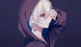 动漫一,动漫世界里的奇幻冒险之旅